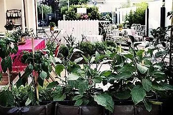 D-Place Hotel & Suite Riccione 4*,  Italy